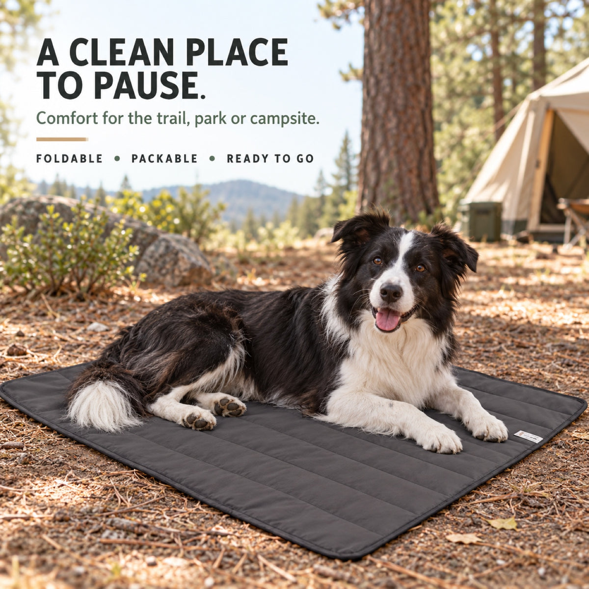 Water-Resistant Oxford Outdoor Pet Blanket, By GAVPEPY image 4 - 3.jpg