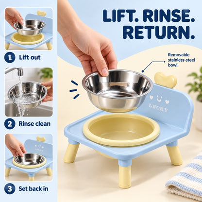 Raised Stainless Steel Pet Bowl, 4 Colors, By GAVPEPY image 4 - 3.jpg