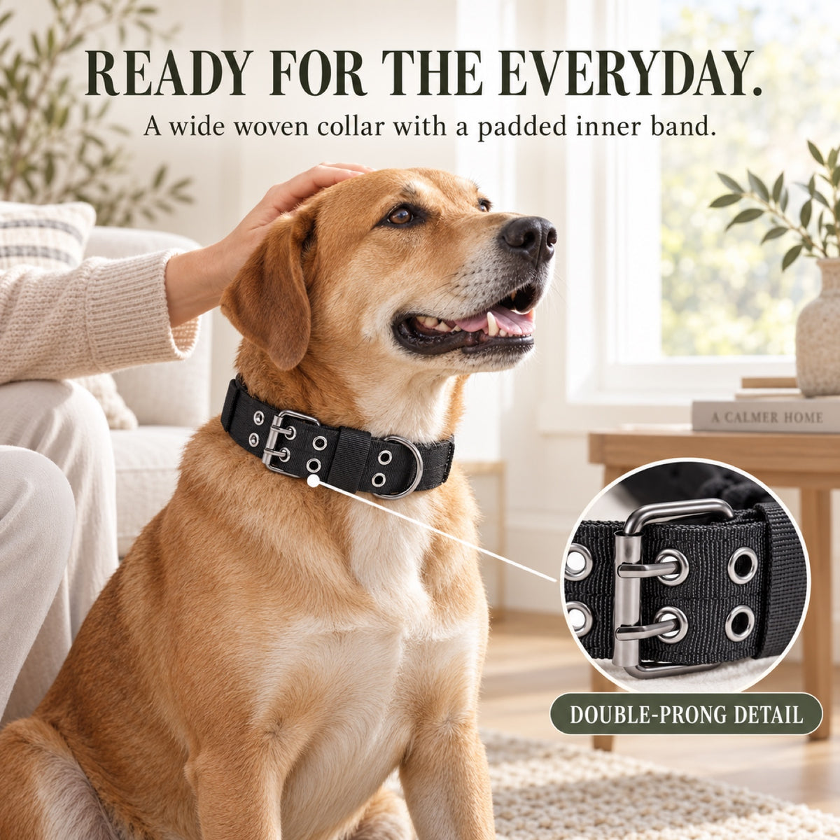 GAVPEPY Double-Layer Dog Collar, Sizes M, L, XL, 5 color or pattern options, for neighborhood walks, park visits and daily dog wear; an adjustable neckwear option for supervised walks and everyday outings image 4 - 3.jpg