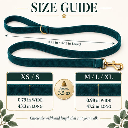 Velvet Dog Leash, 36 Colors and 5 Sizes, By GAVPEPY image 4 - 3.jpg