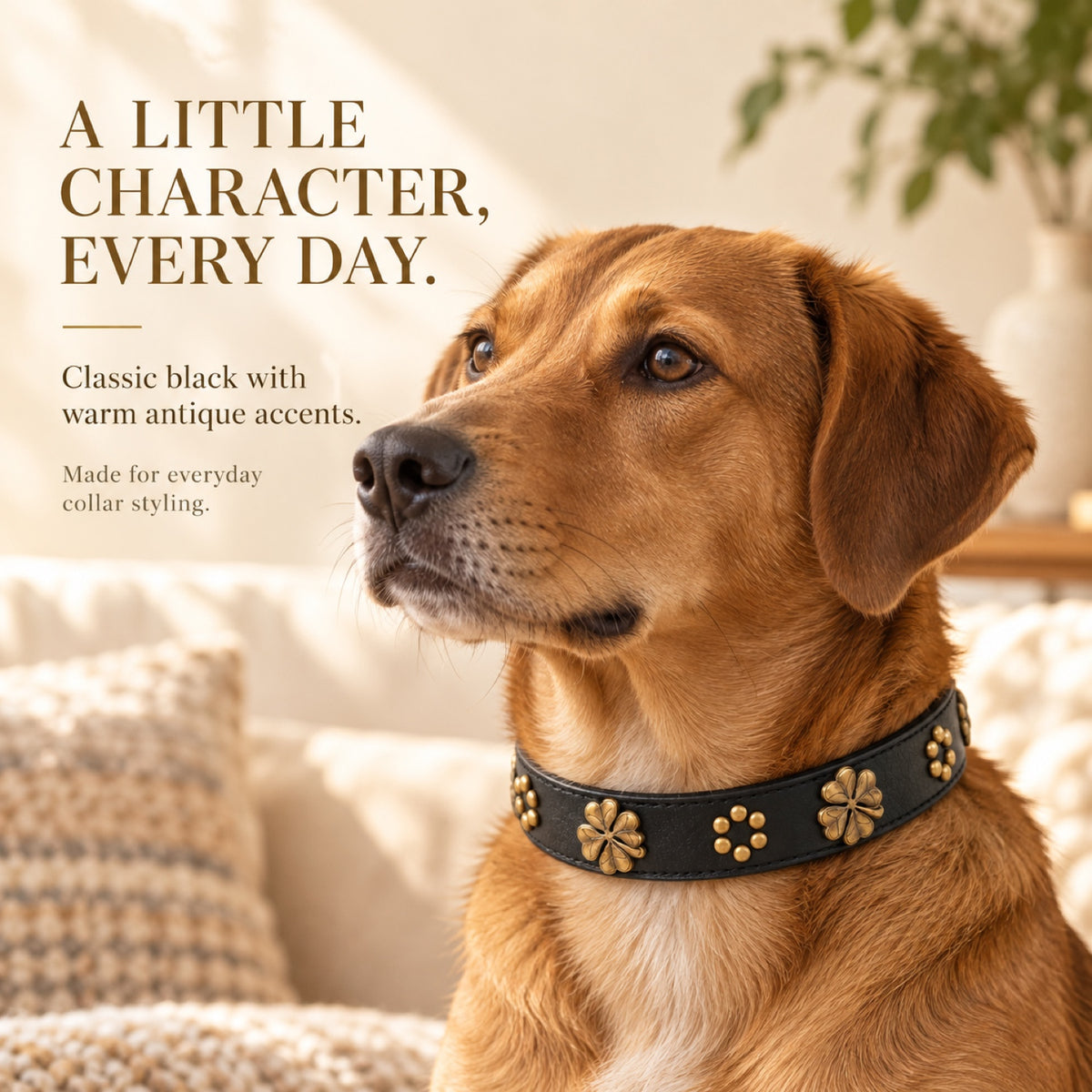 GAVPEPY Leather-style material Decorative Dog Collar, Sizes 2-0 X 40, 2-5 X 50, Black, for neighborhood walks, park visits and daily dog wear; an adjustable neckwear option for supervised walks and everyday outings image 4 - 3.jpg