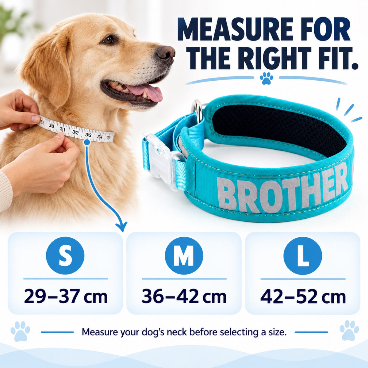GAVPEPY Nylon Padded Nylon Dog Collar, Sizes S, M, L, Red, Blue, Purple, for neighborhood walks, park visits and daily dog wear; an adjustable neckwear option for supervised walks and everyday outings image 4 - 3.jpg