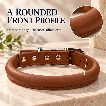 GAVPEPY Leather-style material Padded Dog Collar, Sizes S, M, L, XL, Brown, White, Black, for neighborhood walks, park visits and daily dog wear; an adjustable neckwear option for supervised walks and everyday outings image 4 - 3.jpg