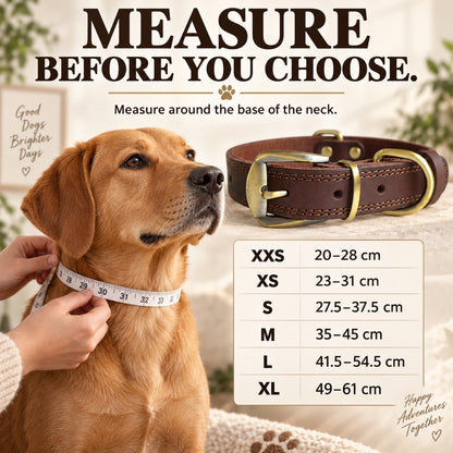 GAVPEPY Full-Grain Leather Dog Collar, 6 size options, Dark Brown, Black, for neighborhood walks, park visits and daily dog wear; an adjustable neckwear option for supervised walks and everyday outings image 4 - 3.jpg