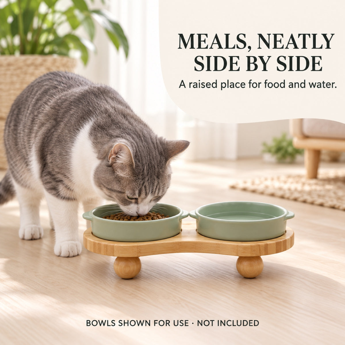Elevated Double-Bowl Pet Feeding Stand, 2 Sizes, By GAVPEPY image 4 - 3.jpg