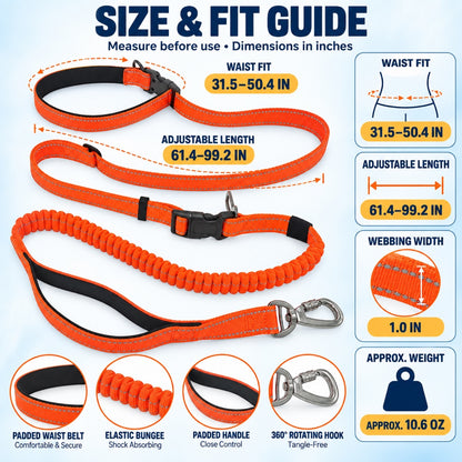 6-in-1 Hands-Free Running Dog Leash, 3 Colors, By GAVPEPY image 4 - 3.jpg