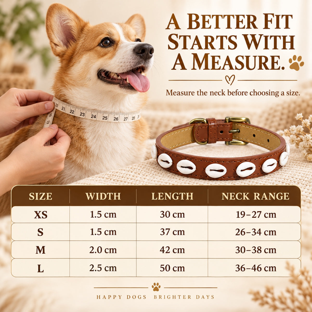 GAVPEPY Faux leather Decorative Shell Dog Collar, Sizes XS, S, M, L, Coffee Brown, Red, Black, for neighborhood walks, park visits and daily dog wear; an adjustable neckwear option for supervised walks and everyday outings image 4 - 3.jpg