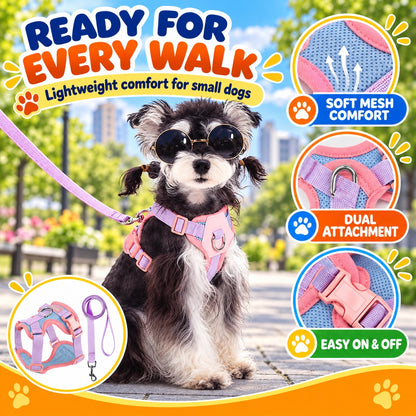 Breathable Mesh Dog Harness and Leash Set, 6 Colors and 4 Sizes, By GAVPEPY image 5 - 4.jpg