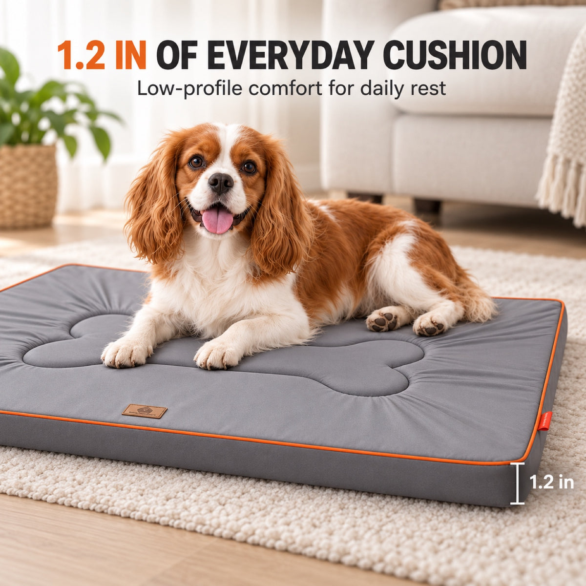 Oxford Fabric Pet Mat with Bone Stitching, 2 Colors & 4 Sizes, By GAVPEPY image 5 - 4.jpg