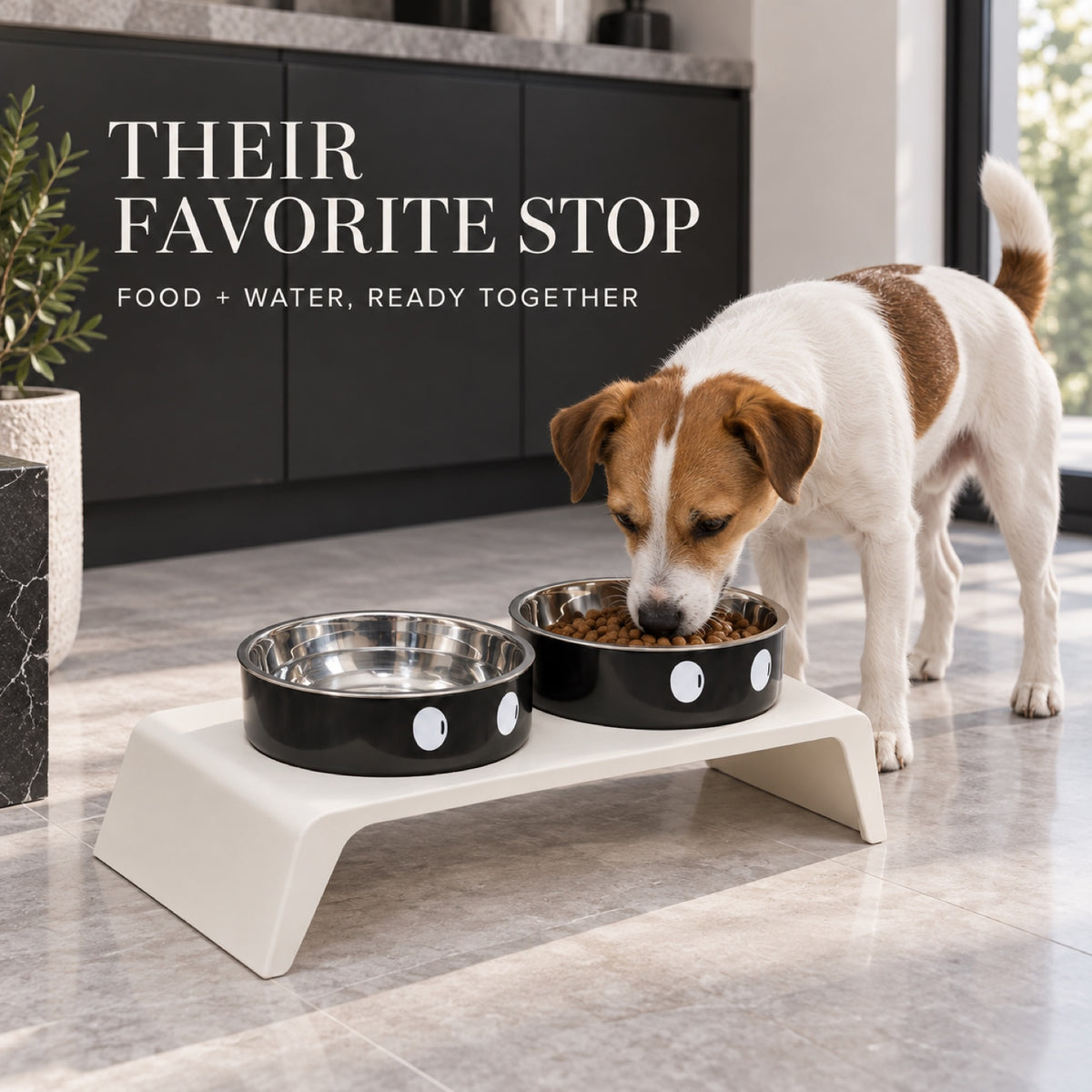 Big-Eyes Stainless Steel Double Pet Bowl, 2 Colors, By GAVPEPY image 5 - 4.jpg