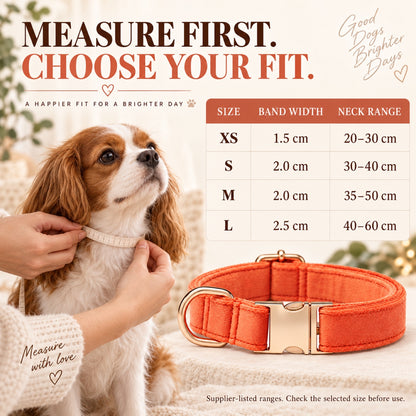 GAVPEPY Yarn Adjustable Fabric Dog Collar, Sizes XS, S, M, L, Coral Orange, Aqua Green, Corn Yellow, Apple Green, for neighborhood walks, park visits and daily dog wear; an adjustable neckwear option for supervised walks and everyday outings image 5 - 4.jpg