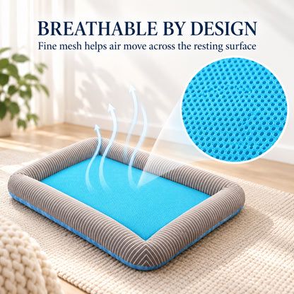 Breathable Mesh Cooling Pet Bed, 4 Patterns & 4 Sizes, By GAVPEPY image 5 - 4.jpg