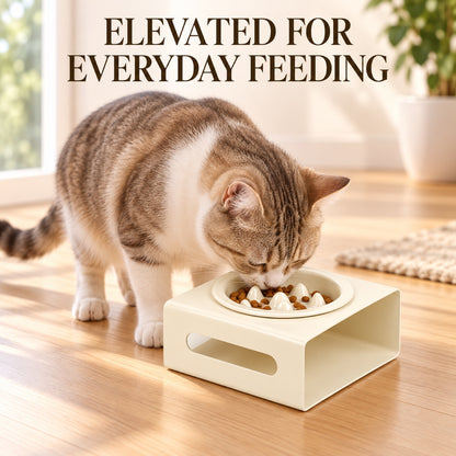GAVPEPY Ceramic Slow Feeder Bowl and Stand, 13.5 x 13.5 x 3.5 cm bowl, nine bowl-and-stand color combinations, for Everyday Dog and Cat Meals or Water at Home, raised feeding pattern in a small matching stand; a patterned surface separates portions image 5 - 4.jpg