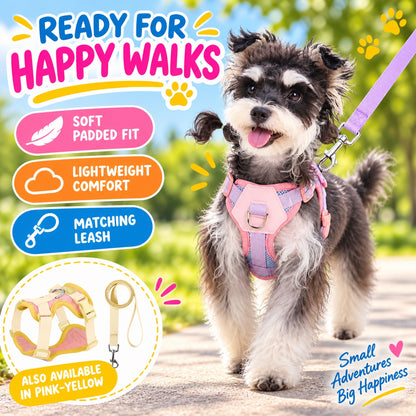 Padded Small Dog Harness and Leash Set, 6 Colors and 4 Sizes, By GAVPEPY image 5 - 4.jpg