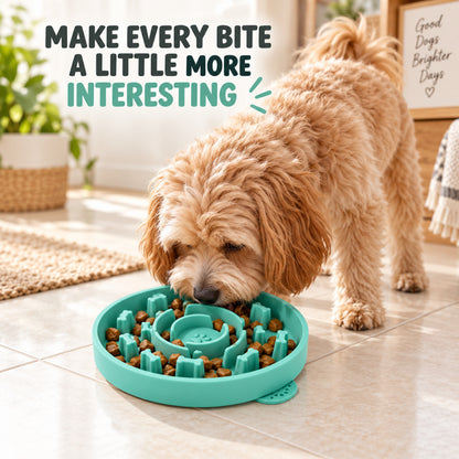 GAVPEPY Silicone Textured Slow Feeder Bowl, 20 x 20 x 4 cm, teal finish, for Everyday Dog and Cat Meals or Water at Home, raised pattern across the feeding surface; a patterned surface separates portions across the bowl image 5 - 4.jpg