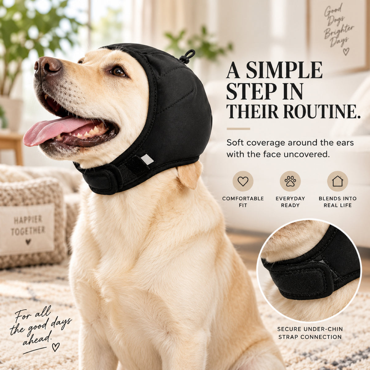 GAVPEPY Polyester Padded Dog Ear Cover Hood, Black or Blue in S, M and L, for covering the ears during supervised noise and grooming routines, home, travel, grooming appointments and outdoor events, a shaped soft hood, dark inner lining and image 5 - 4.jpg