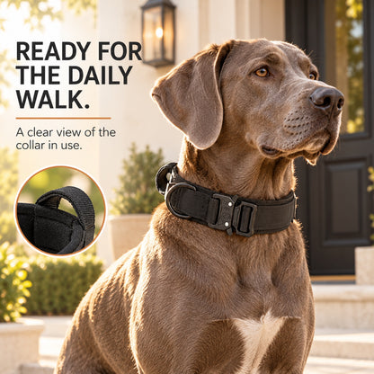 GAVPEPY Polyester with zinc-alloy hardware Tactical Padded Dog Collar, Sizes M, L, XL, 5 color or pattern options, for neighborhood walks, park visits and daily dog wear; an adjustable neckwear option for supervised walks and everyday outings image 5 - 4.jpg