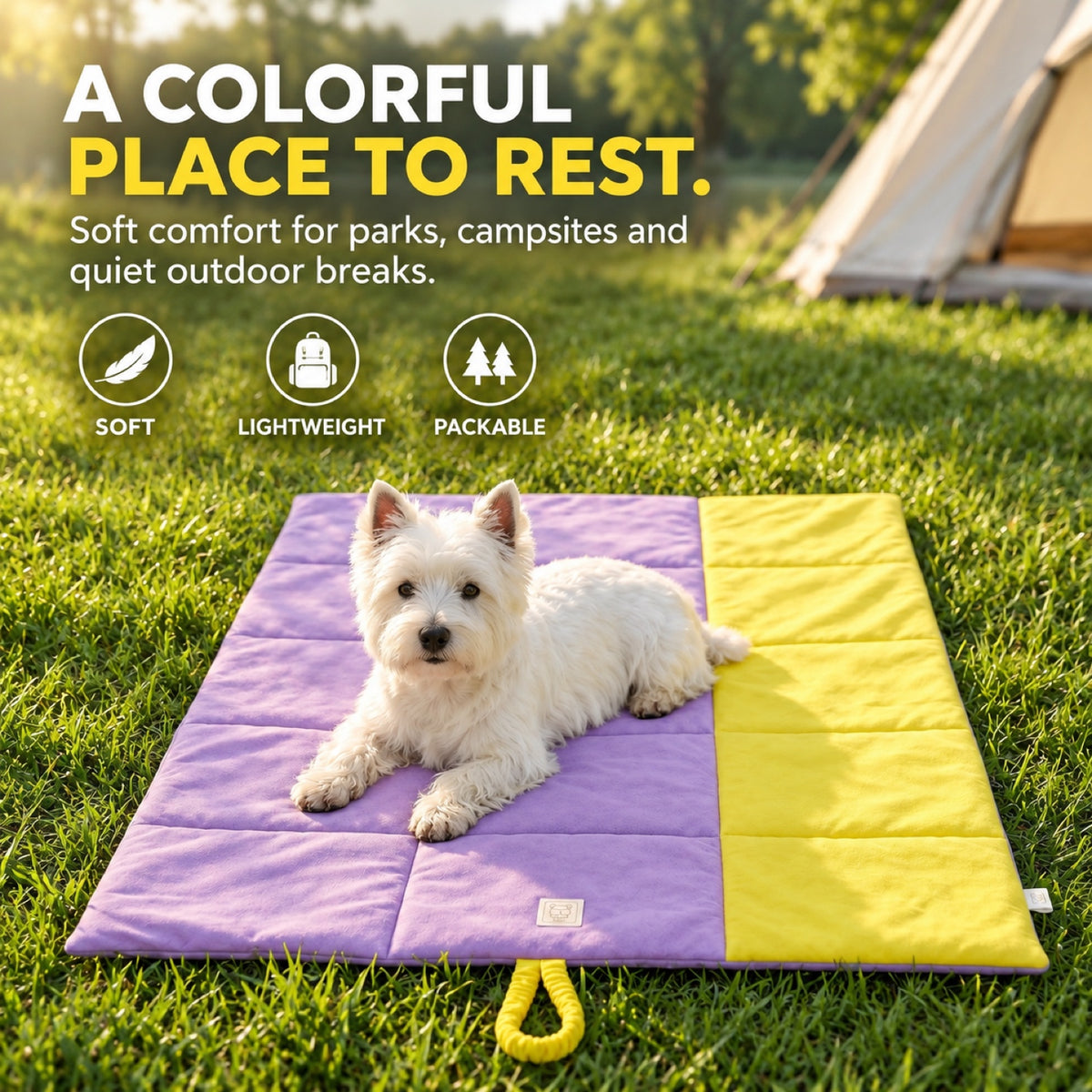 Multipurpose Water-Resistant Pet Mat, By GAVPEPY image 5 - 4.jpg