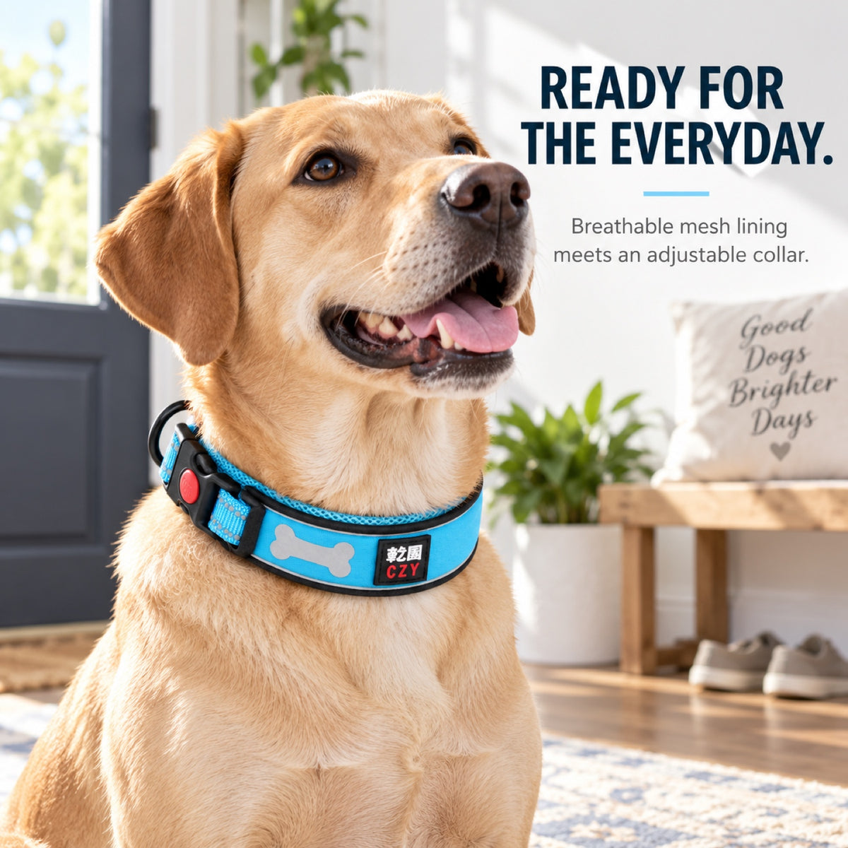 GAVPEPY Padded Mesh Dog Collar, Sizes XS, S, M, L, 5 color or pattern options, for neighborhood walks, park visits and daily dog wear; an adjustable neckwear option for supervised walks and everyday outings image 5 - 4.jpg