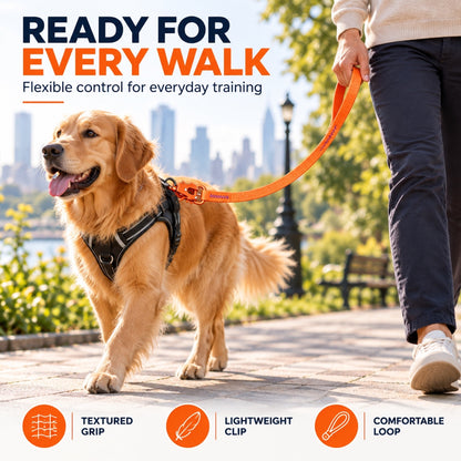 Crocodile-Texture Tactical Dog Leash with Aluminum Clip, 3 Colors, By GAVPEPY image 5 - 4.jpg