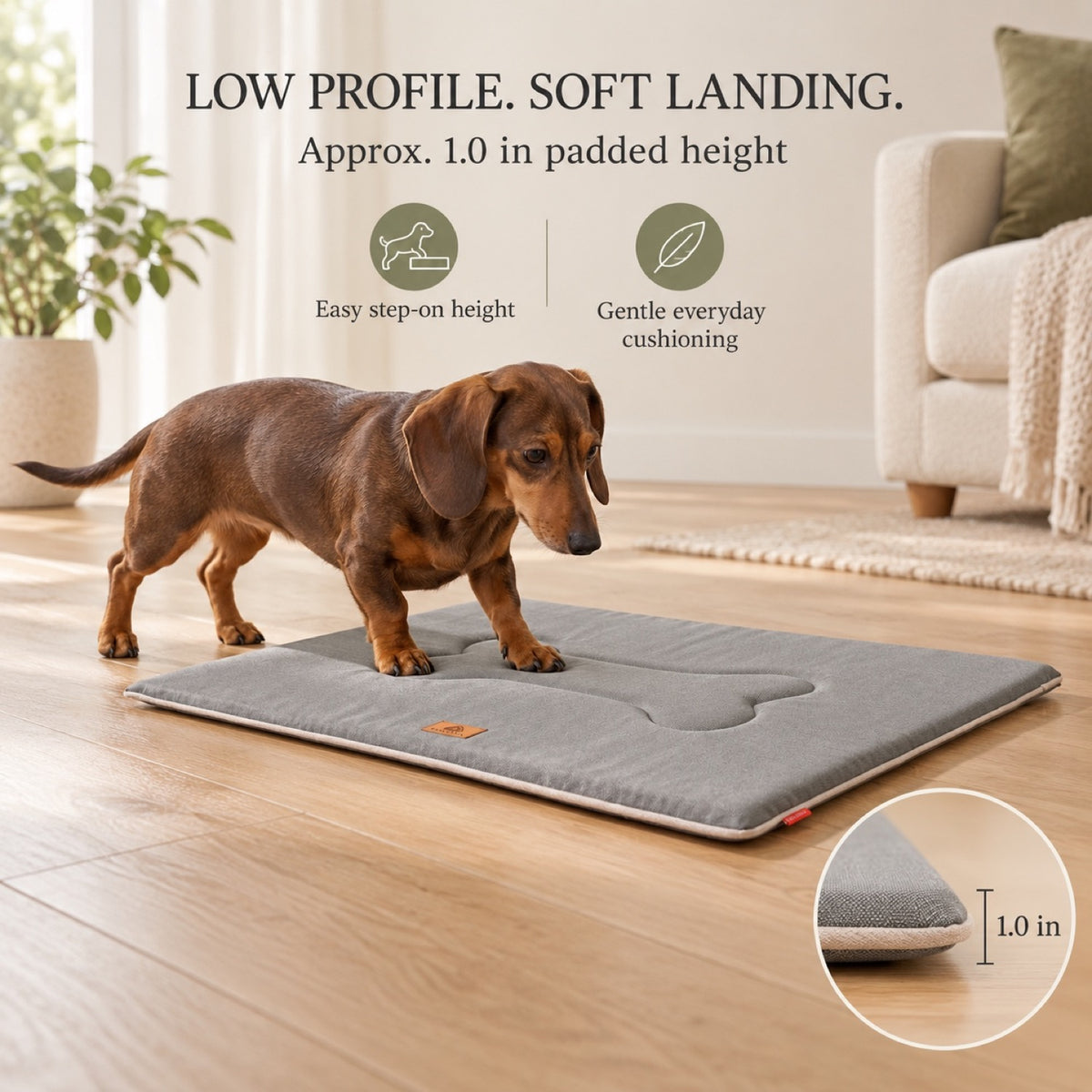 Thick Waterproof Oxford Fabric Pet Mat, 2 Colors & 4 Sizes, By GAVPEPY image 5 - 4.jpg