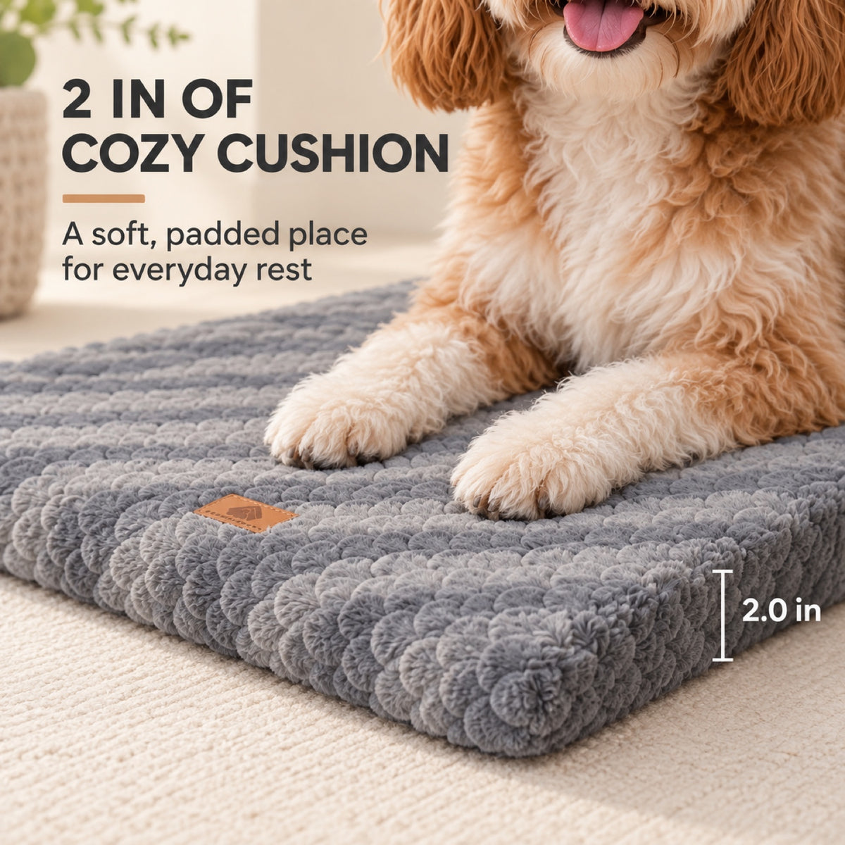 Removable-Cover Pet Bed Mat, 4 Colors & 5 Sizes, By GAVPEPY image 5 - 4.jpg