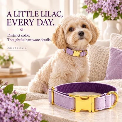 GAVPEPY Polyester Velvet-Look Dog Collar, Sizes XS, S, M, L, XL, Light Purple, for neighborhood walks, park visits and daily dog wear; an adjustable neckwear option for supervised walks and everyday outings image 5 - 4.jpg