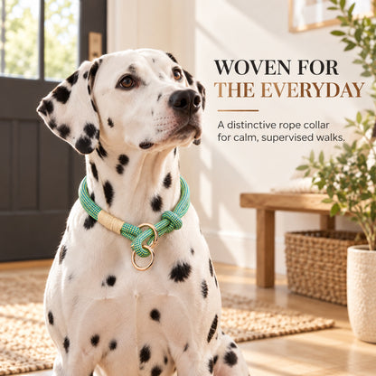 GAVPEPY Nylon Braided Rope Dog Collar, Sizes XS, S, M, L, Brown, Shadow White, for neighborhood walks, park visits and daily dog wear; an adjustable neckwear option for supervised walks and everyday outings image 5 - 4.jpg