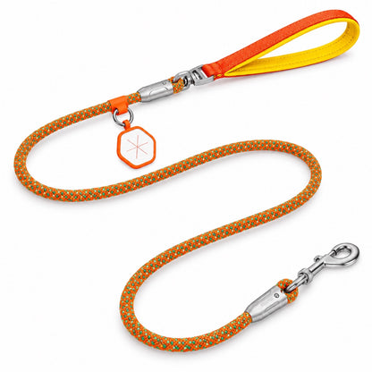 Patterned Rope Dog Leash with ID Tag, 5 Colors and 4 Sizes, By GAVPEPY image 9 - 5693819763308.jpg