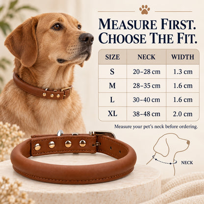 GAVPEPY Leather-style material Padded Dog Collar, Sizes S, M, L, XL, Brown, White, Black, for neighborhood walks, park visits and daily dog wear; an adjustable neckwear option for supervised walks and everyday outings image 6 - 5.jpg