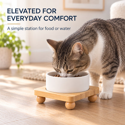 Raised Ceramic Pet Bowl with Single Bamboo Stand, 40 Options, By GAVPEPY image 6 - 5.jpg