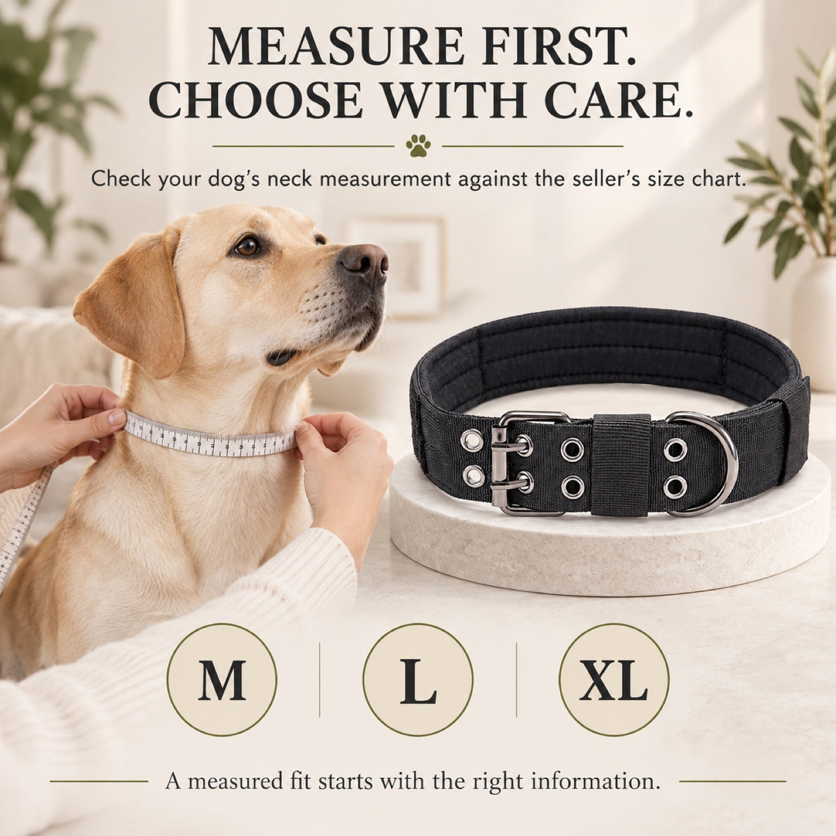 GAVPEPY Double-Layer Dog Collar, Sizes M, L, XL, 5 color or pattern options, for neighborhood walks, park visits and daily dog wear; an adjustable neckwear option for supervised walks and everyday outings image 6 - 5.jpg