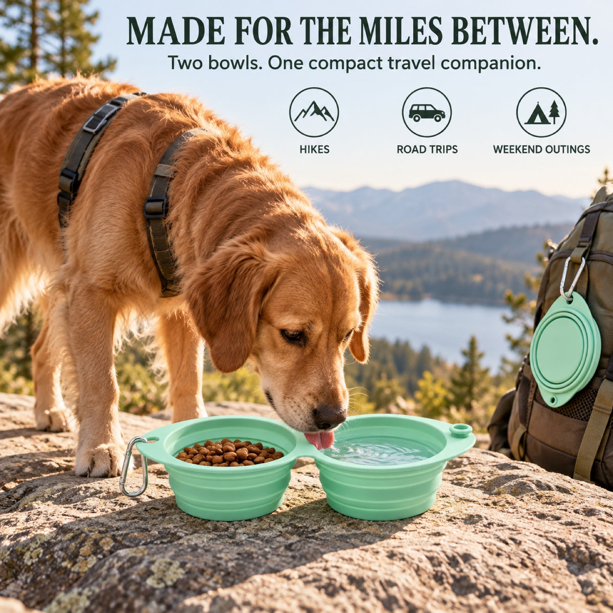 Foldable Dual-Use Silicone Pet Bowl, 7 Colors, By GAVPEPY image 6 - 5.jpg