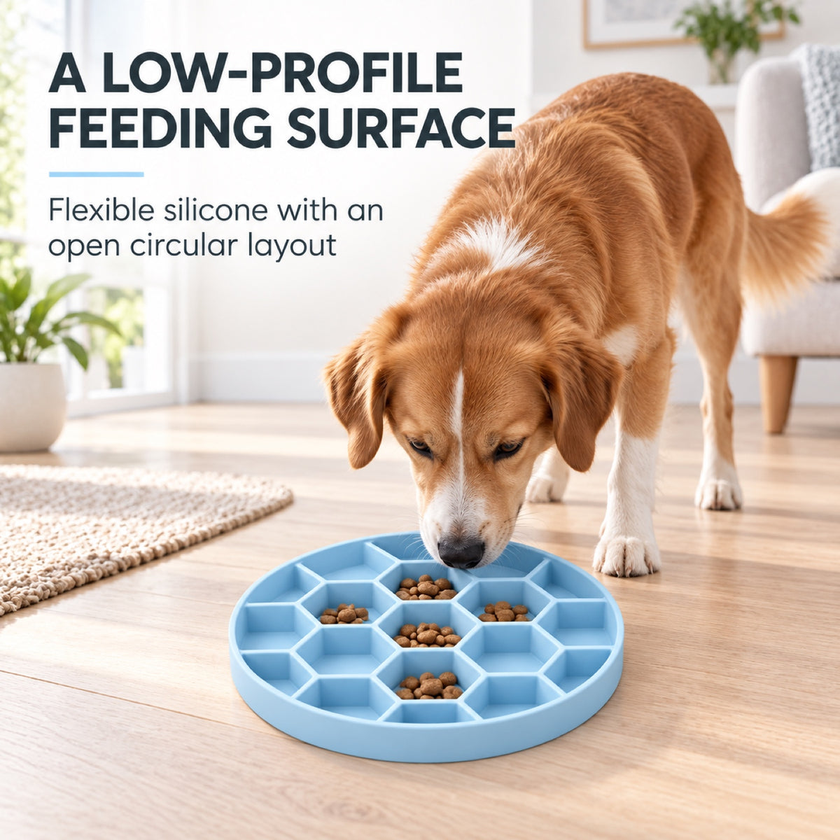 Collapsible Silicone Pet Bowl, 3 Colors and 2 Sizes, By GAVPEPY image 6 - 5.jpg