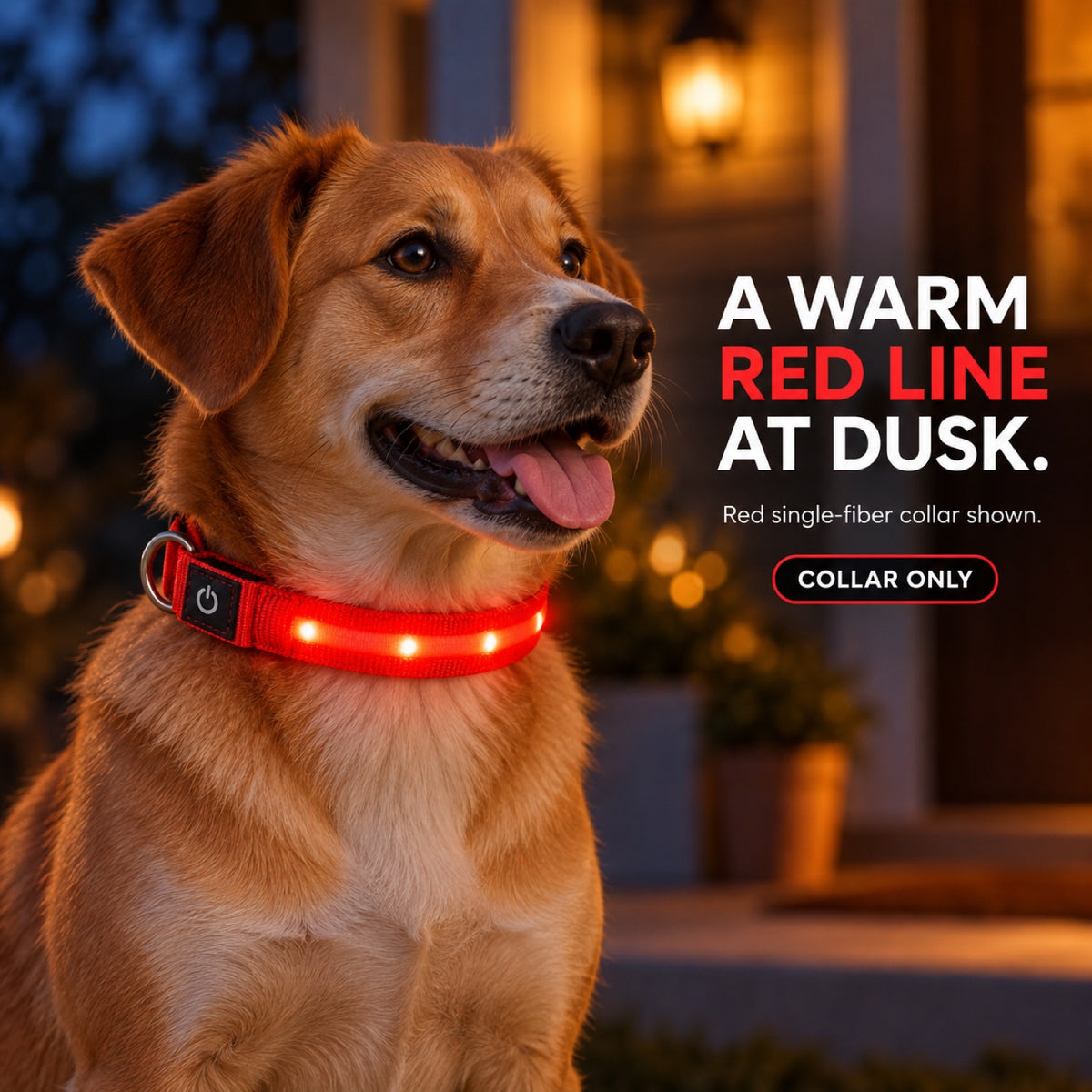 GAVPEPY Nylon Single-Fiber LED Dog Collar, Sizes S, M, L, Red, Blue, Green, for neighborhood walks, park visits and daily dog wear; an adjustable neckwear option for supervised walks and everyday outings image 6 - 5.jpg
