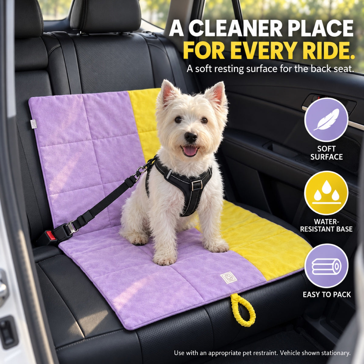 Multipurpose Water-Resistant Pet Mat, By GAVPEPY image 6 - 5.jpg