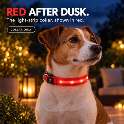 GAVPEPY Nylon LED Strip Dog Collar, Sizes S, M, L, Red, Blue, Green, for daily dog walks and outdoor wear; adjustable neckwear with the selected finish and fit shown in the product photos; review the selected variant photo for details image 6 - 5.jpg