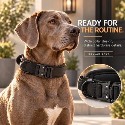 GAVPEPY Polyester with zinc-alloy hardware Tactical Padded Dog Collar, Sizes M, L, XL, 5 color or pattern options, for neighborhood walks, park visits and daily dog wear; an adjustable neckwear option for supervised walks and everyday outings image 6 - 5.jpg