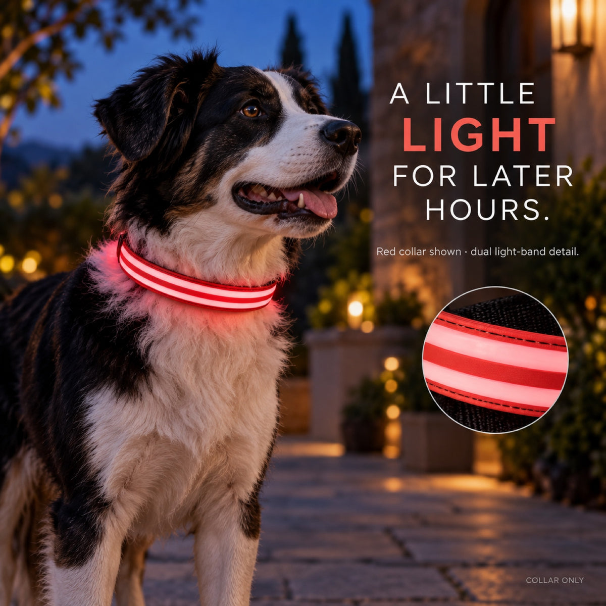 GAVPEPY Nylon Light-Up Dog Collar, Sizes XS, S, M, L, 5 color or pattern options, for neighborhood walks, park visits and daily dog wear; an adjustable neckwear option for supervised walks and everyday outings image 6 - 5.jpg