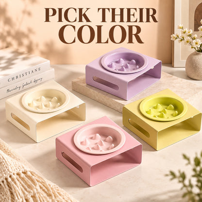 GAVPEPY Ceramic Slow Feeder Bowl and Stand, 13.5 x 13.5 x 3.5 cm bowl, nine bowl-and-stand color combinations, for Everyday Dog and Cat Meals or Water at Home, raised feeding pattern in a small matching stand; a patterned surface separates portions image 6 - 5.jpg
