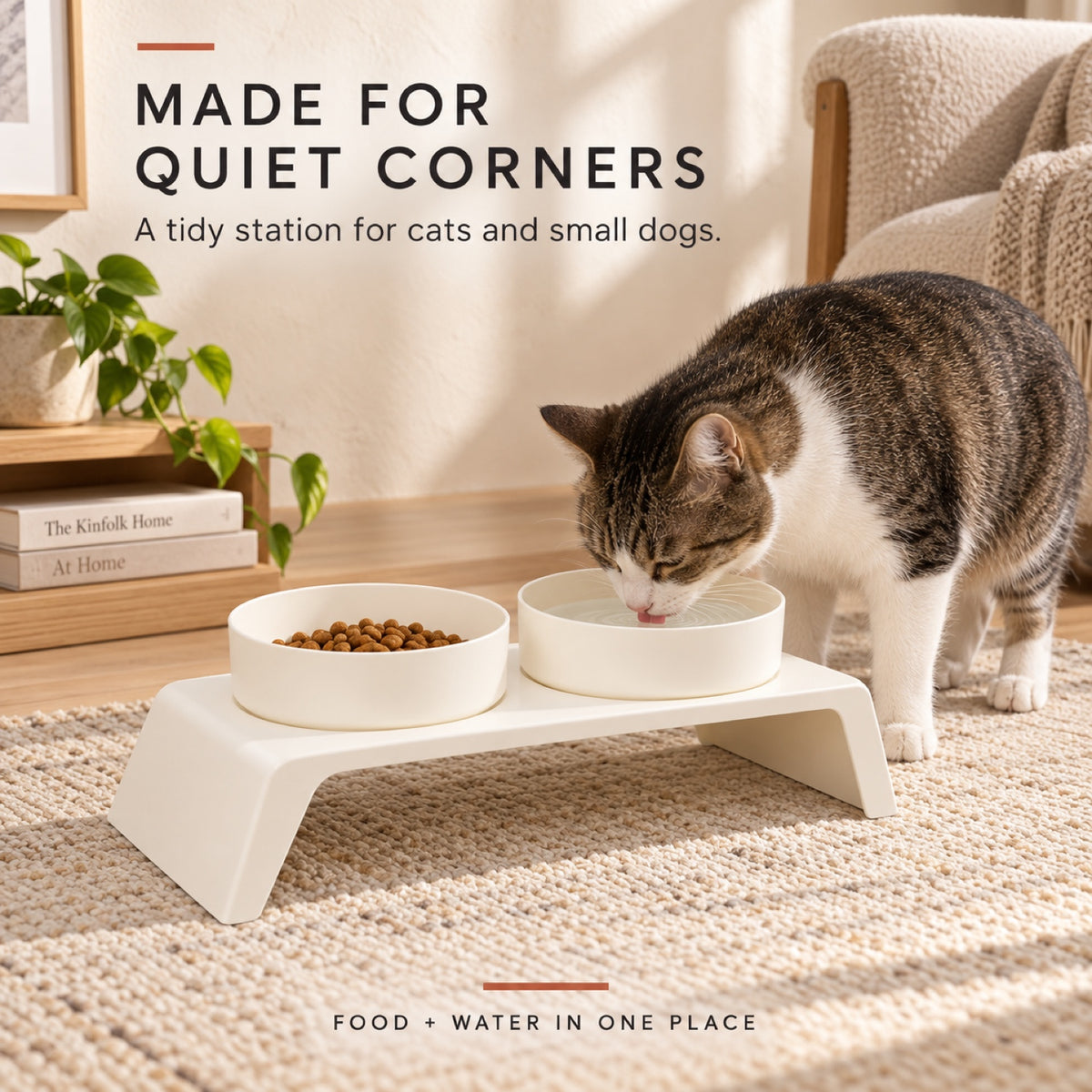 Solid-Color Double Pet Bowl, 2 Colors, By GAVPEPY image 6 - 5.jpg