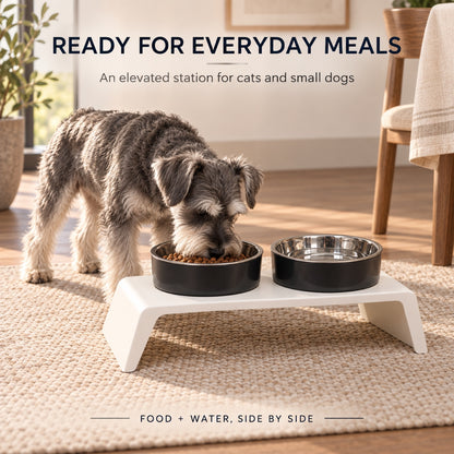 Solid-Color Stainless Steel Double Pet Bowl, 2 Colors, By GAVPEPY image 6 - 5.jpg