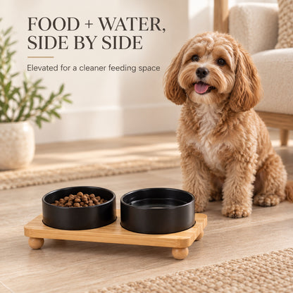 Raised Ceramic Double Pet Bowl with Bamboo Stand, 40 Options, By GAVPEPY image 6 - 5.jpg