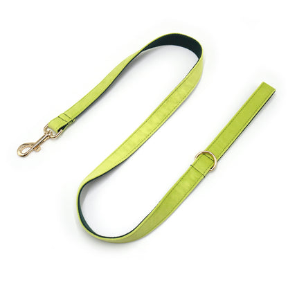 Velvet Dog Leash, 36 Colors and 5 Sizes, By GAVPEPY image 52 - 6039395795969.jpg
