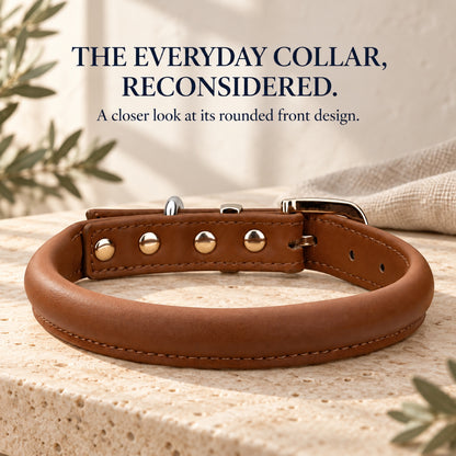 GAVPEPY Leather-style material Padded Dog Collar, Sizes S, M, L, XL, Brown, White, Black, for neighborhood walks, park visits and daily dog wear; an adjustable neckwear option for supervised walks and everyday outings image 7 - 6.jpg