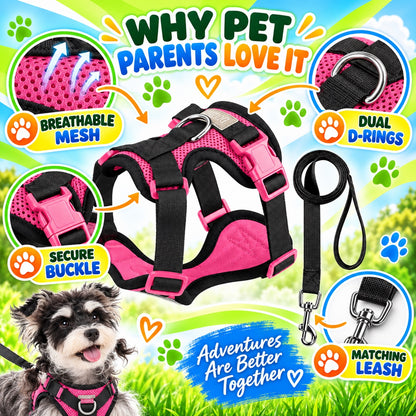 Breathable Mesh Dog Harness and Leash Set, 6 Colors and 4 Sizes, By GAVPEPY image 7 - 6.jpg