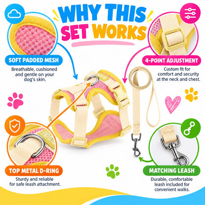 Padded Small Dog Harness and Leash Set, 6 Colors and 4 Sizes, By GAVPEPY image 7 - 6.jpg
