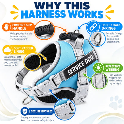 Reflective Dog Harness and Leash Set, 6 Colors and 6 Sizes, By GAVPEPY image 7 - 6.jpg