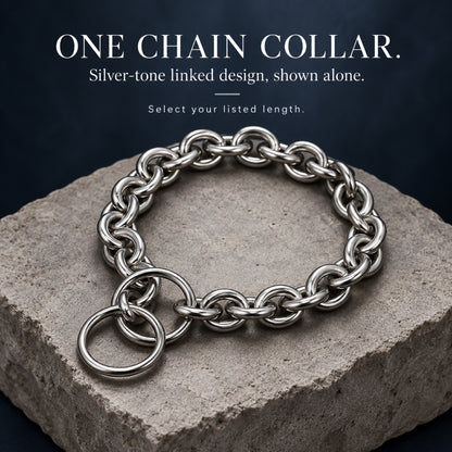 GAVPEPY Stainless Steel Chain Dog Collar, 8 size options, as pictured, for daily dog walks and outdoor wear; adjustable neckwear with the selected finish and fit shown in the product photos; review the selected variant photo for details image 7 - 6.jpg