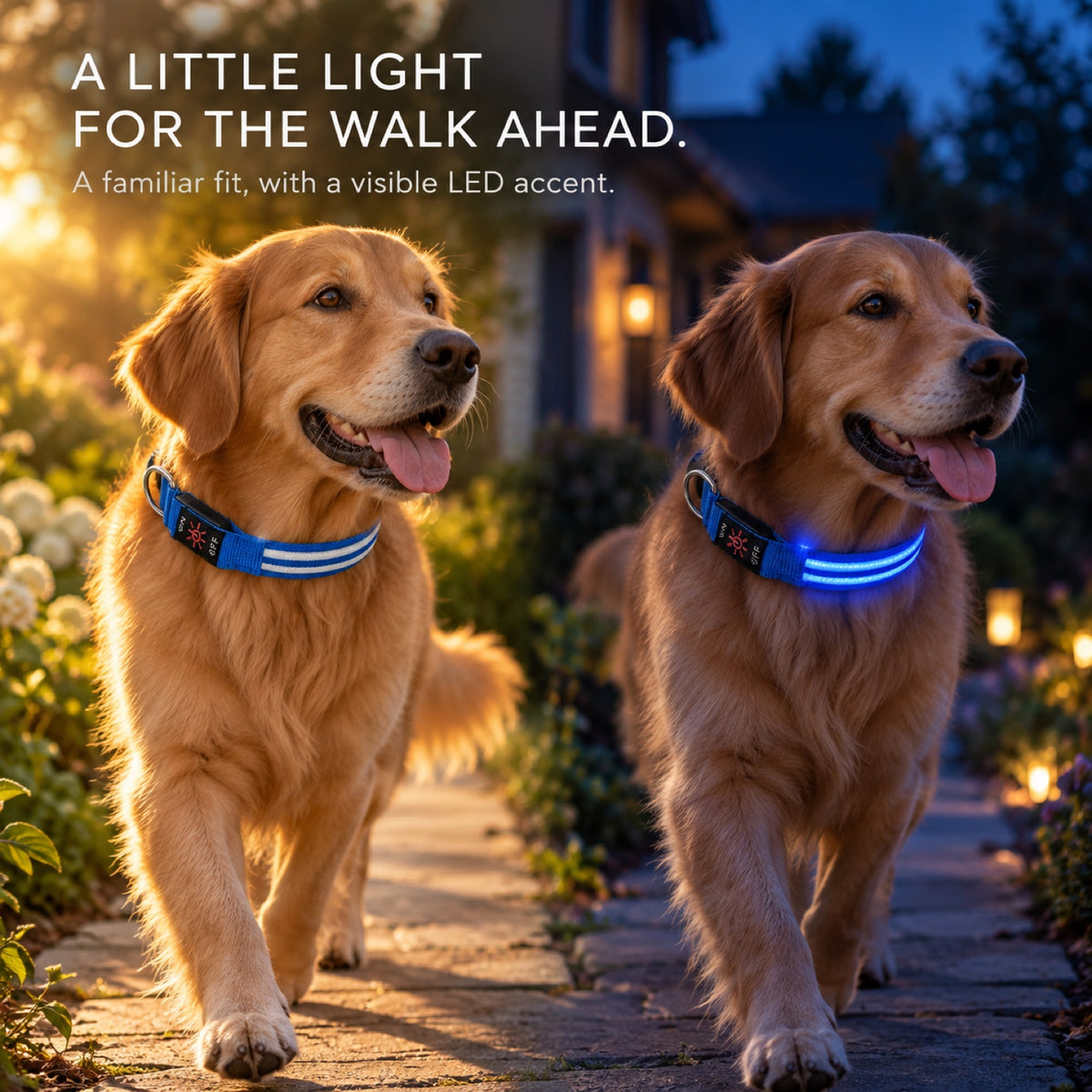 GAVPEPY Woven webbing LED Light-Up Dog Collar, Sizes S, M, L, Red, Green, Blue, Pink, for neighborhood walks, park visits and daily dog wear; an adjustable neckwear option for supervised walks and everyday outings image 7 - 6.jpg